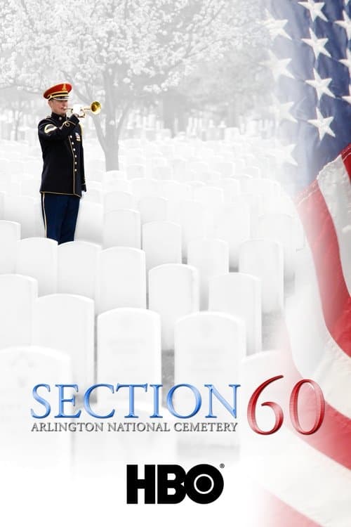 Sección 60 Del Cementerio Nacional De Arlington