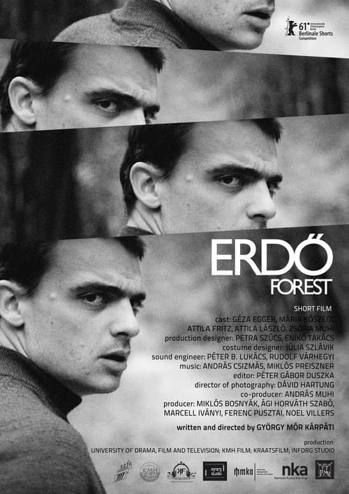 Erdő