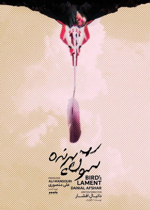 سوگ پرنده