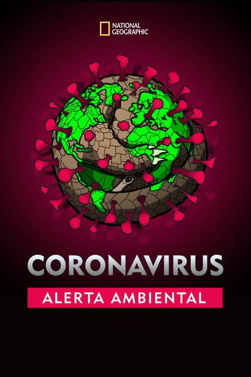 Coronavirus: Alerta ambiental