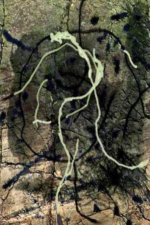 Rivière au tonnerre