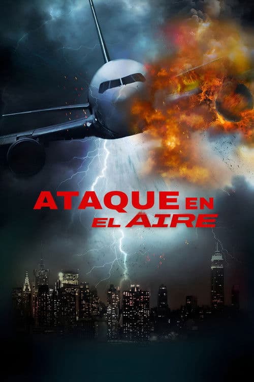 Airliner Sky Battle