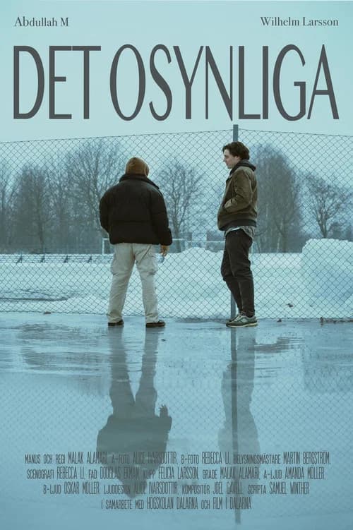 Det osynliga