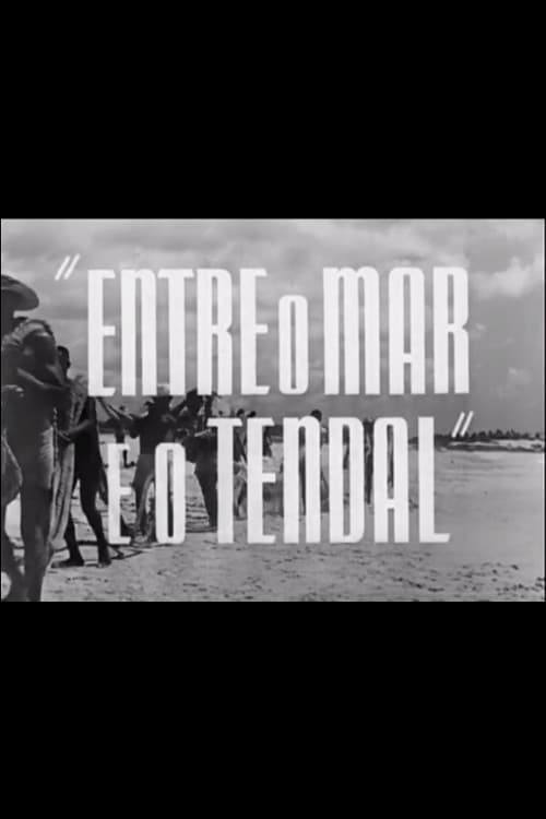 Entre o Mar e o Tendal