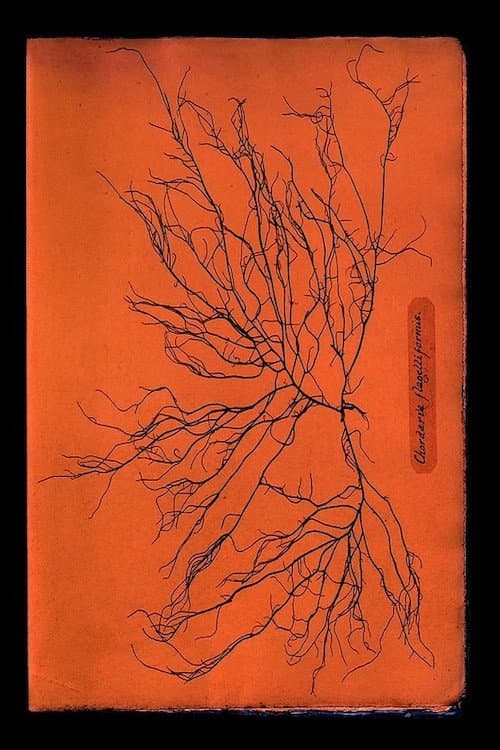 Ghost Protists