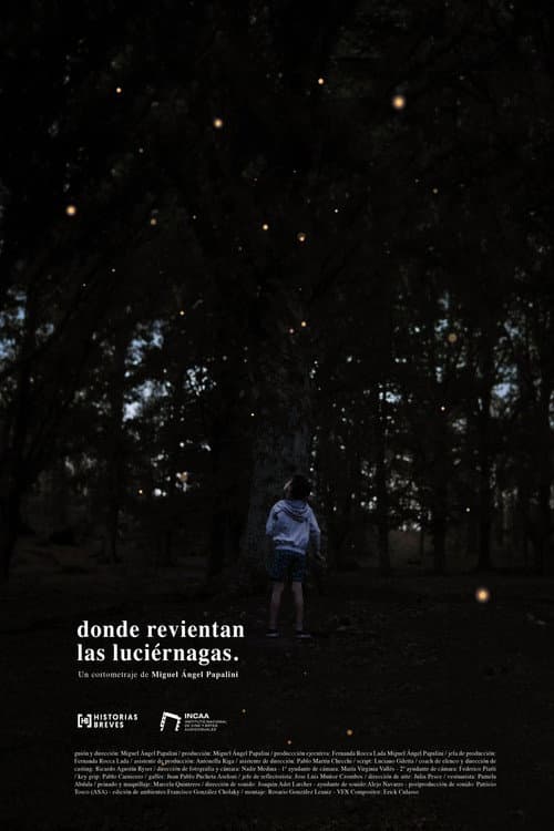 Donde revientan las luciérnagas