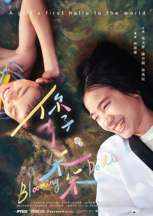 你好，朵朵