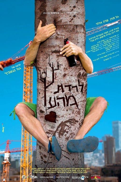 לרדת מהעץ