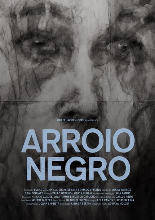Arroio Negro