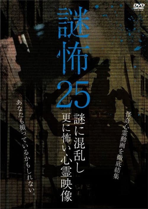 謎怖 25 謎に混乱し更に怖い心霊映像