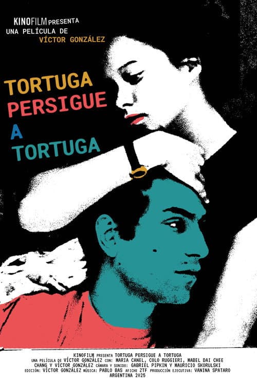 Tortuga persigue a tortuga