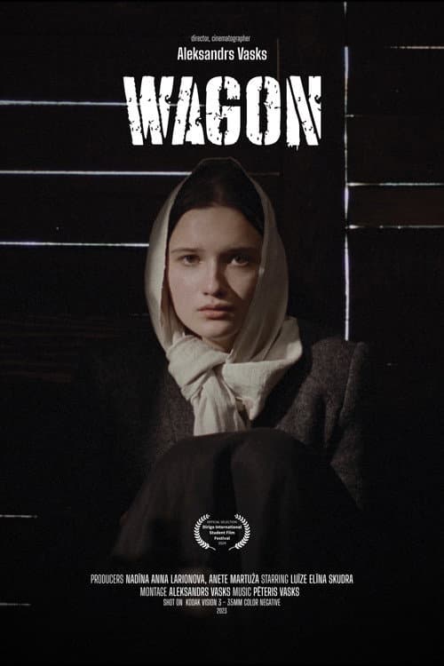 Vagons
