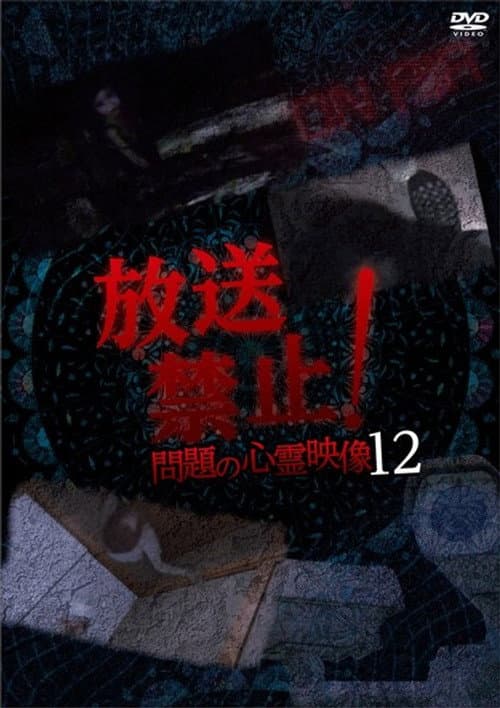 放送禁止！問題の心霊映像 12