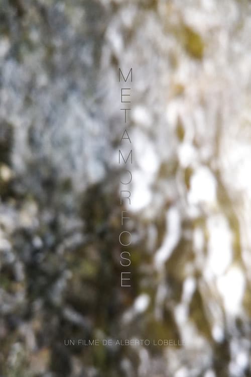 Metamorfose