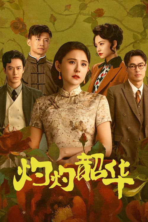 灼灼韶华