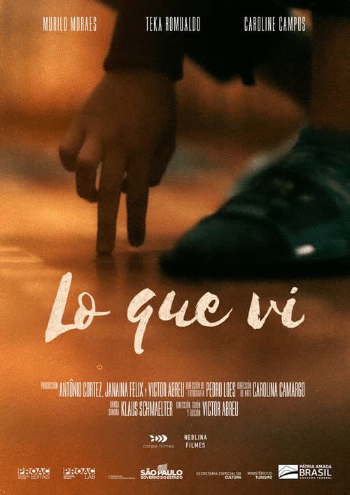 O Que Vi