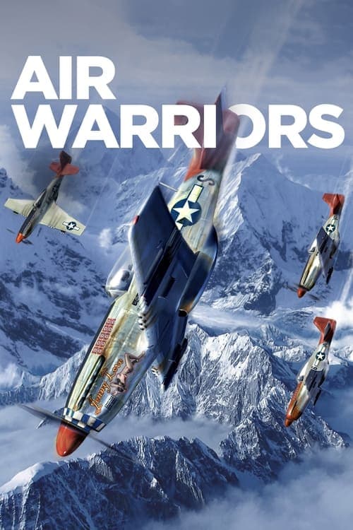 Guerreros del aire