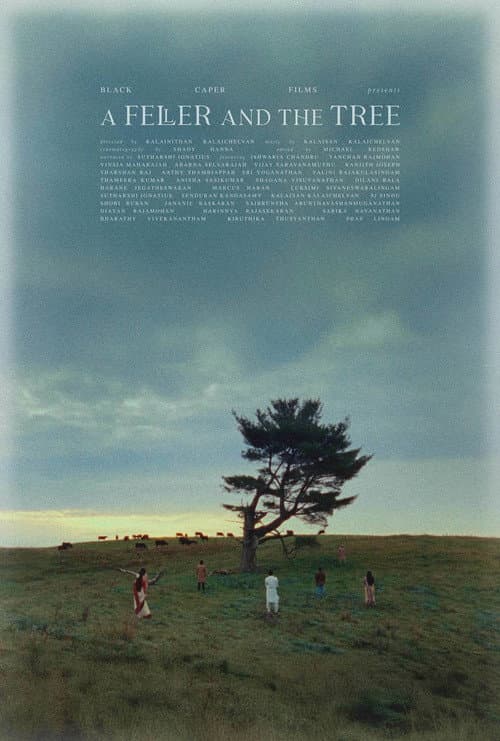 A Feller and the Tree