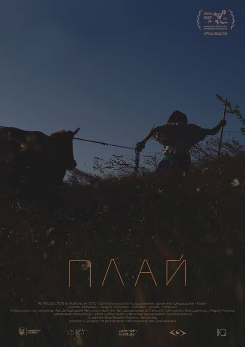 Плай