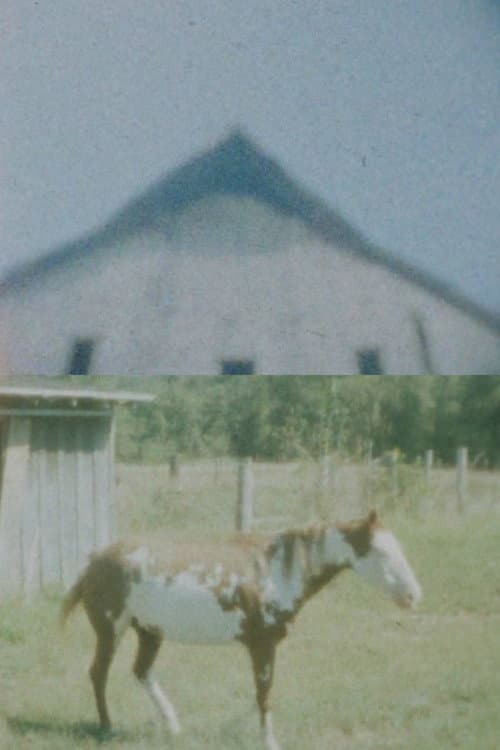 Our Landmark: My Fair Share