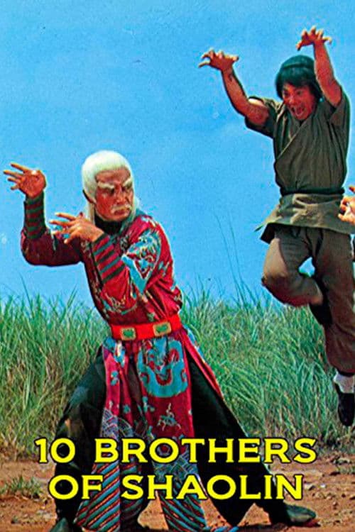 10 Brothers of shaolin