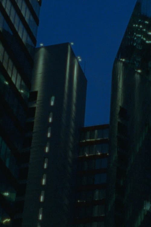 你的城市