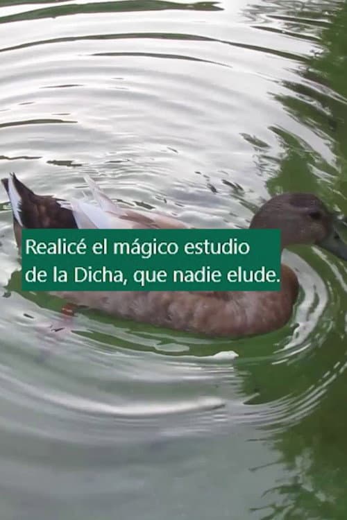 Cinco arrimamientos
