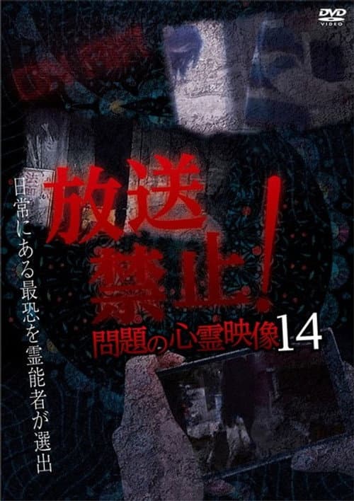 放送禁止！問題の心霊映像 14
