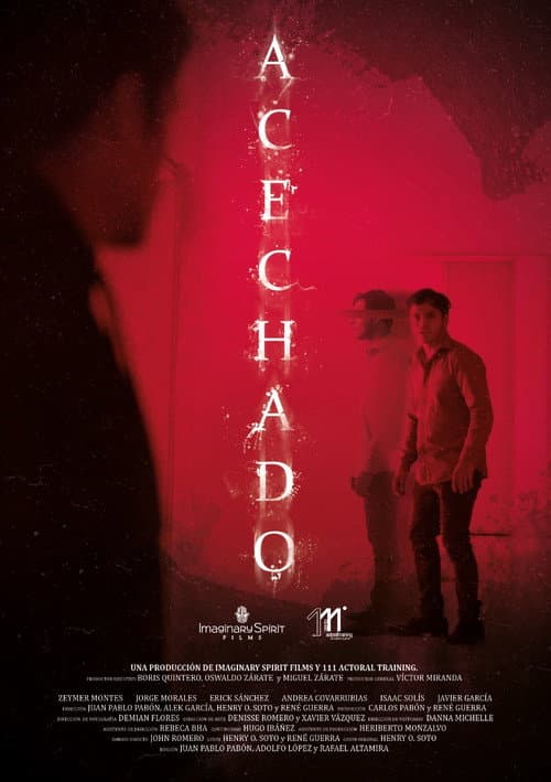 Acechado