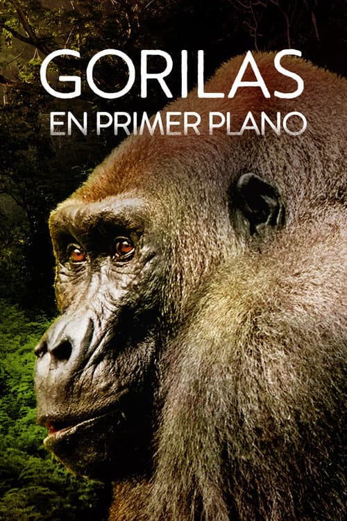Tierra de Gorilas