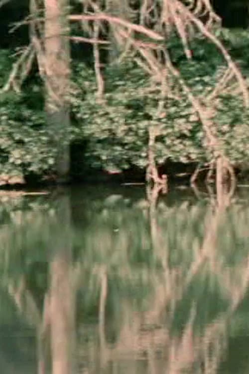Porter Springs 3