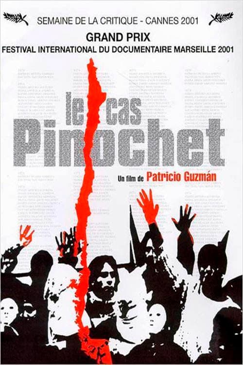 El caso Pinochet