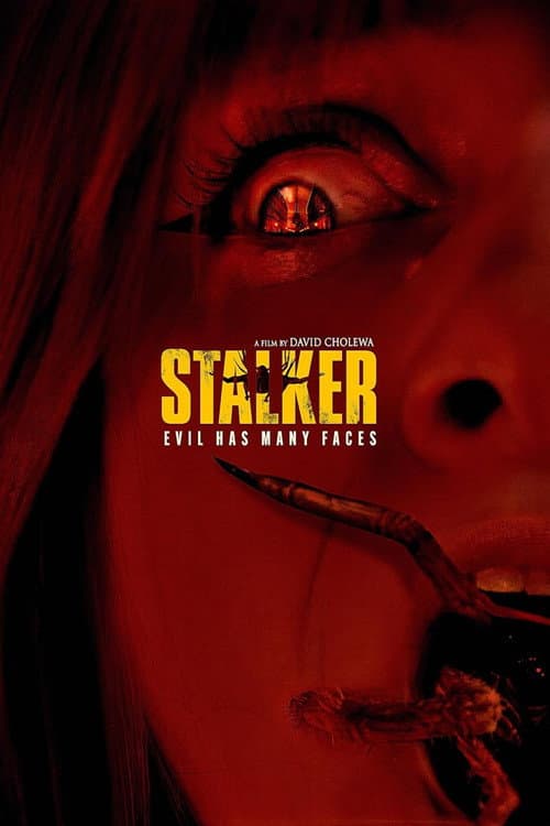 Stalker