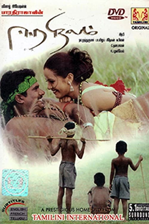 ஈர நிலம்