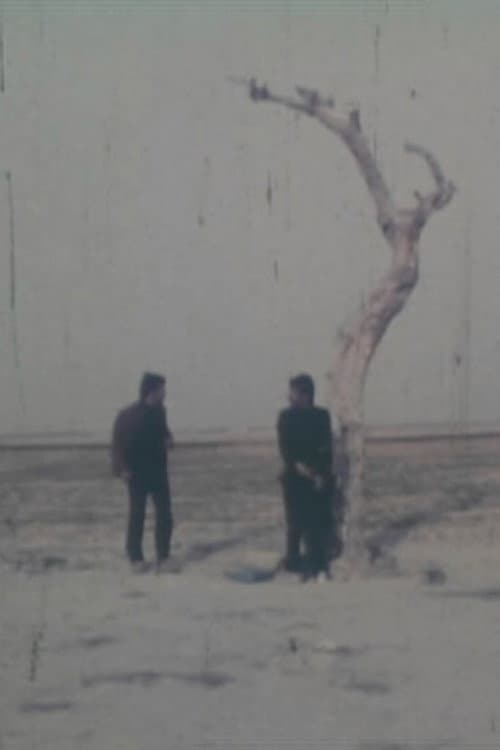 خیابان