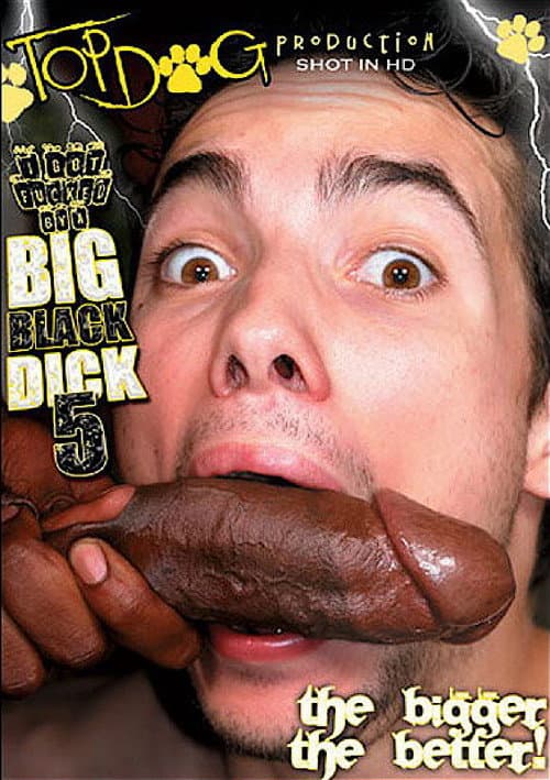 I Got Fucked by a Big Black Dick 5