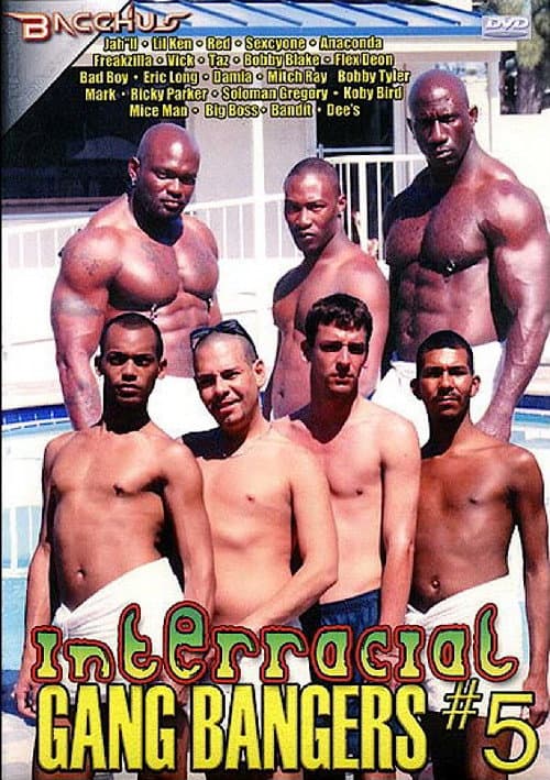 Interracial Gang Bangers 5