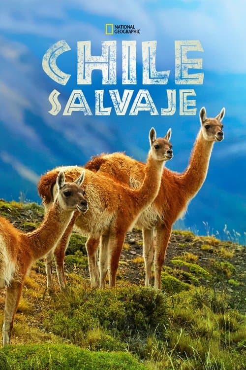 Wild Chile