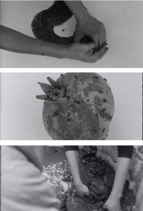 arrojalatierra