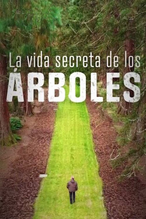 The Secret Life of Trees