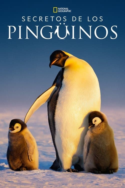Secretos de los pingüinos