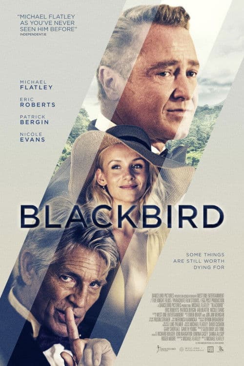 Blackbird
