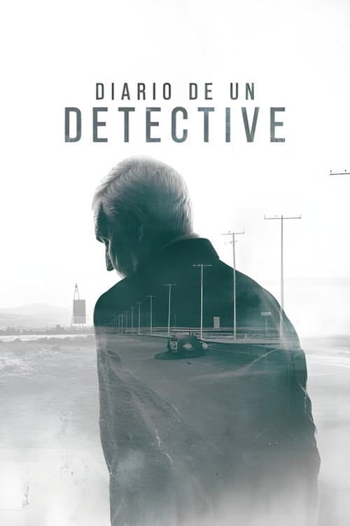 Detective Diaries