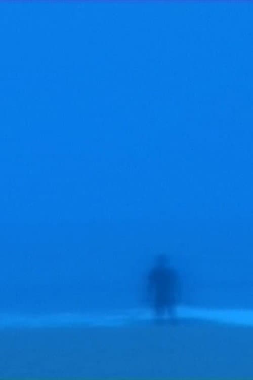 Studio Diary Series: Land | Sea | Sky
