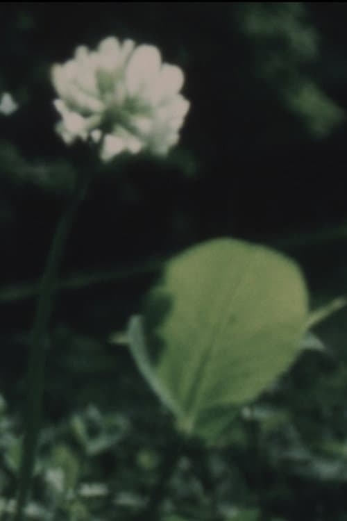 野に咲く花
