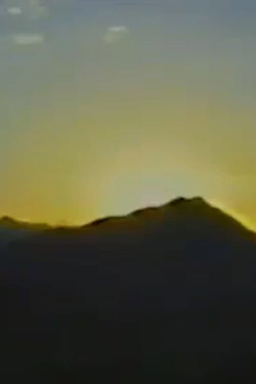 تولد نور