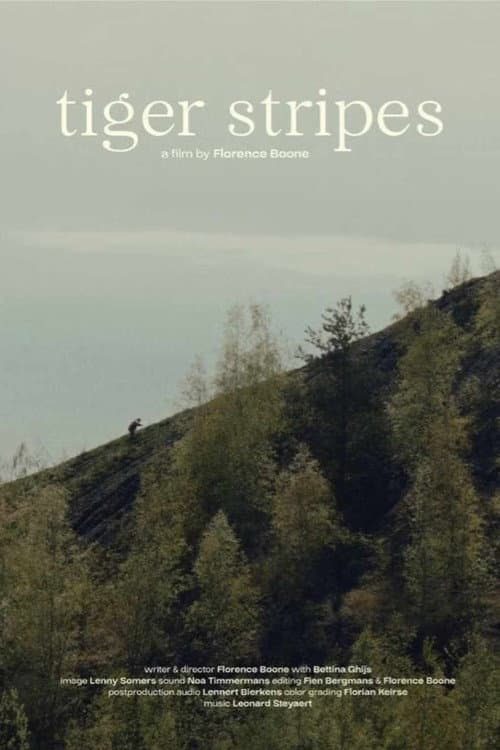 Tijgerstrepen