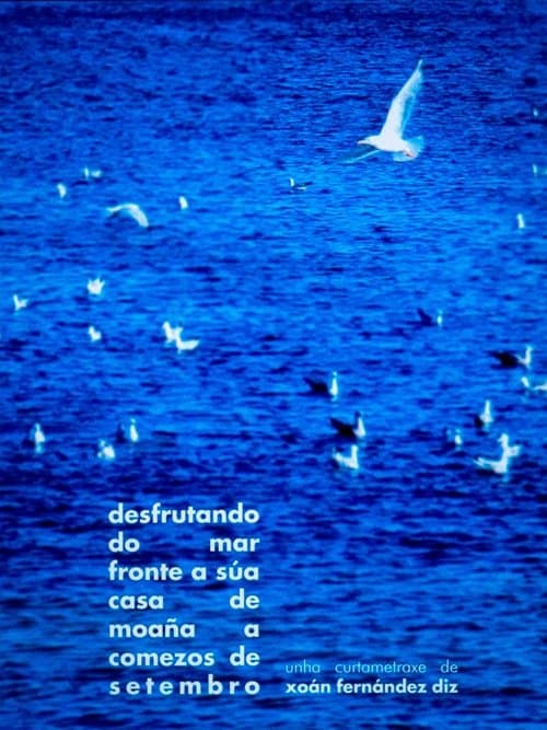 desfrutando do mar fronte a súa casa de moaña a comezos de setembro