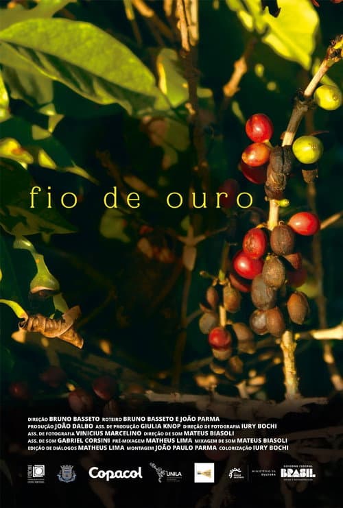 Fio de Ouro