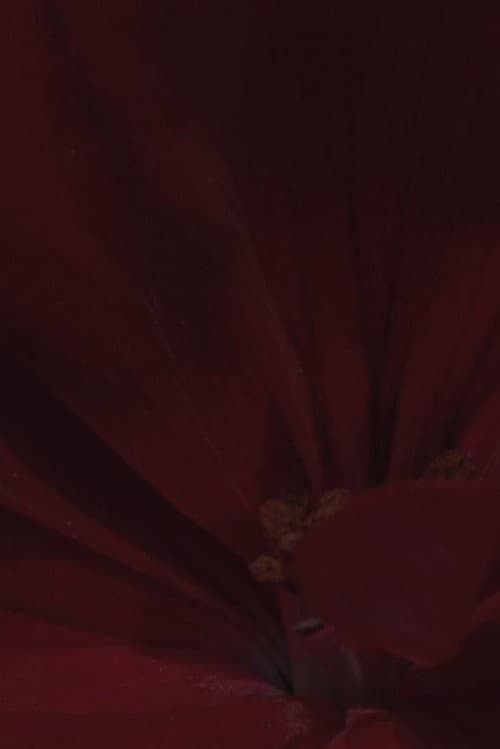 Flowerbed
